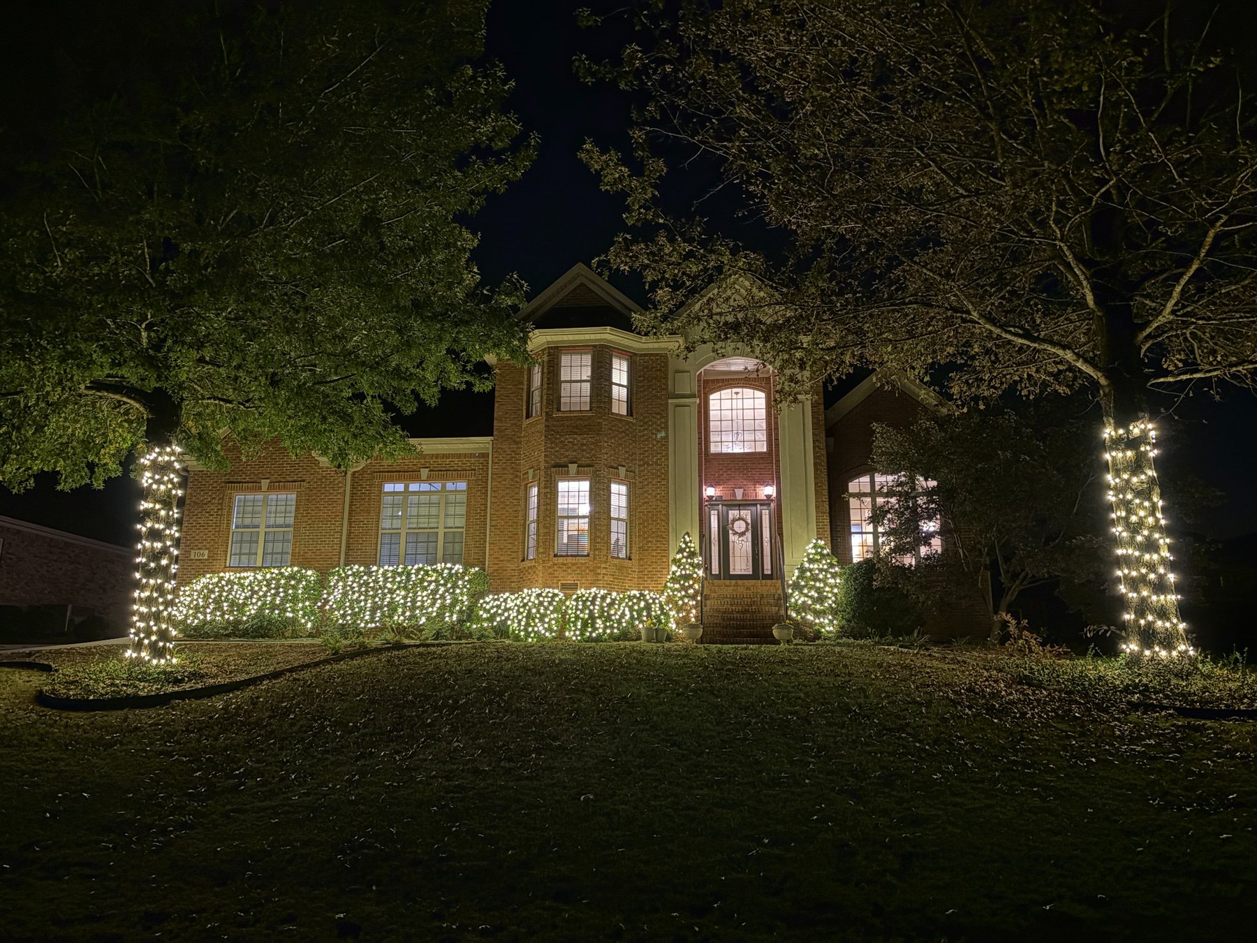 Christmas roofline and landscape mini lights